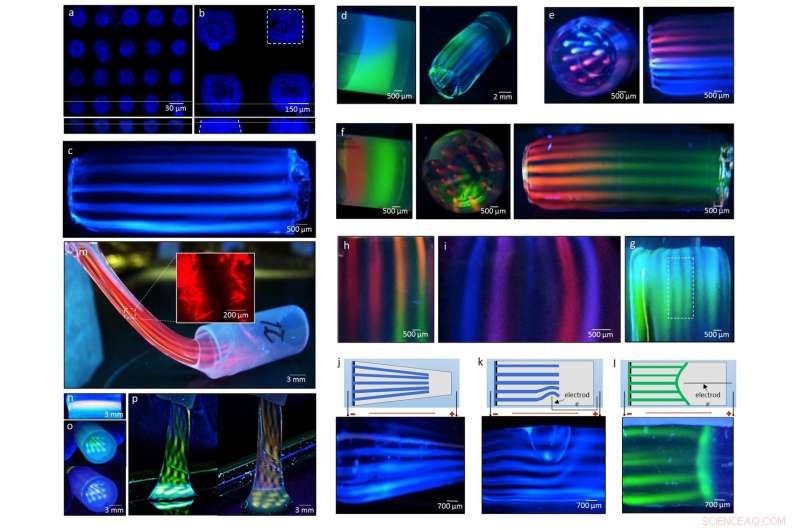 Revolutionary Molecular Printing Enables Realistic Human‑Body‑Like Chemical Environments