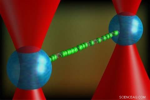 Scientists Reveal Hyperstretched DNA Configuration Using Laser Manipulation