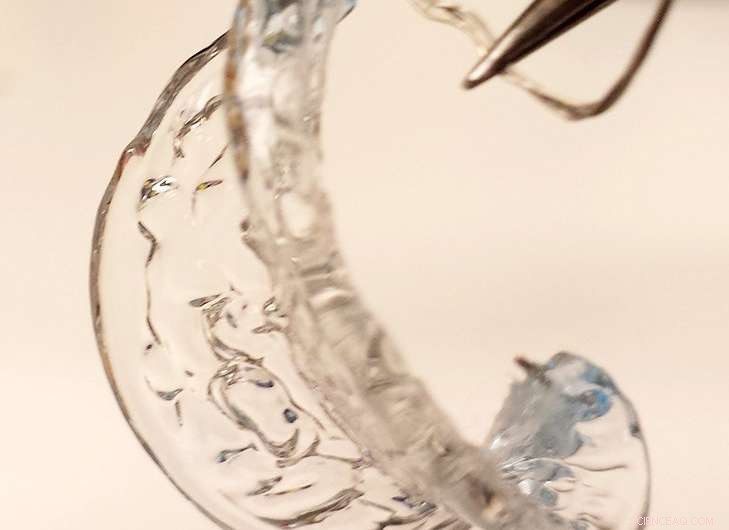 Researchers Develop Leaf‑Like Hydrogel That Grows Like Natural Tissues