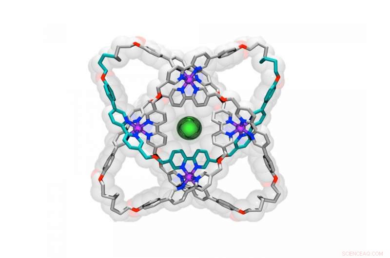 Molecular Knot Sets New Record for Tightest Known Structure