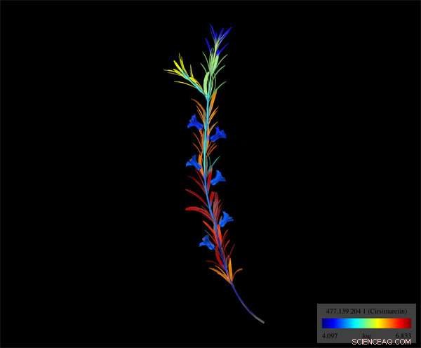 Simplifying Molecular Mapping for Forensic Precision