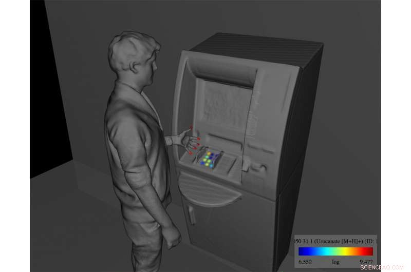 Simplifying Molecular Mapping for Forensic Precision