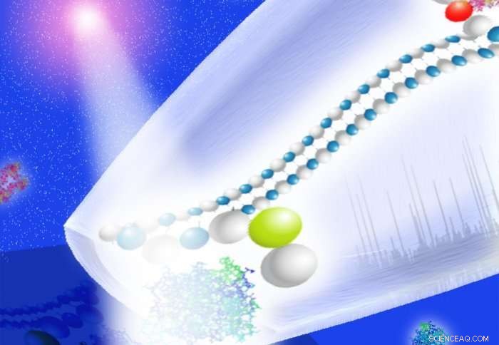 New DNA‑Based Detection System Could Revolutionize Early Disease Diagnosis