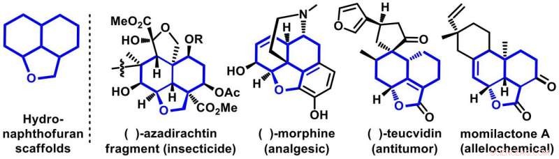 Osaka University Breakthrough: Efficient Production of Chiral Multi‑Centered Tricyclic Compounds