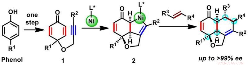 Osaka University Breakthrough: Efficient Production of Chiral Multi‑Centered Tricyclic Compounds