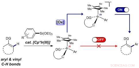 Researchers Achieve Mild-Condition C–H Bond Arylation in Organic Synthesis