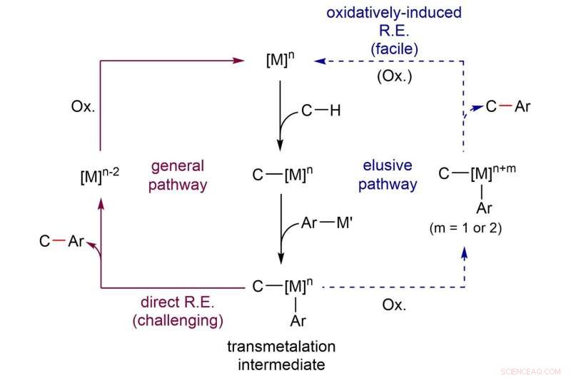 Researchers Achieve Mild-Condition C–H Bond Arylation in Organic Synthesis