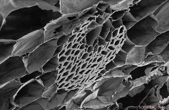 Discover Okinawan Textile Secrets for Natural Cooling Comfort