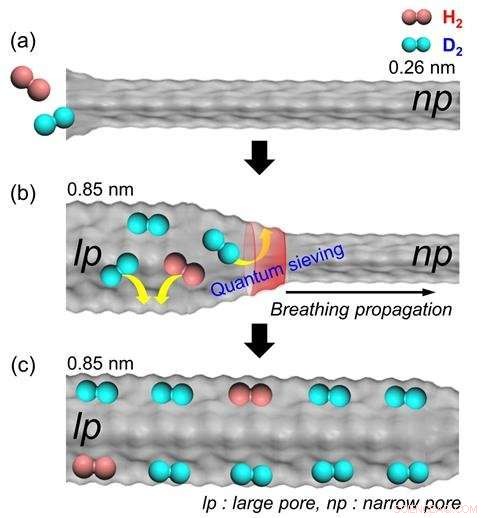 Innovative Isotope Separation Technique Using Flexible Porous MOFs