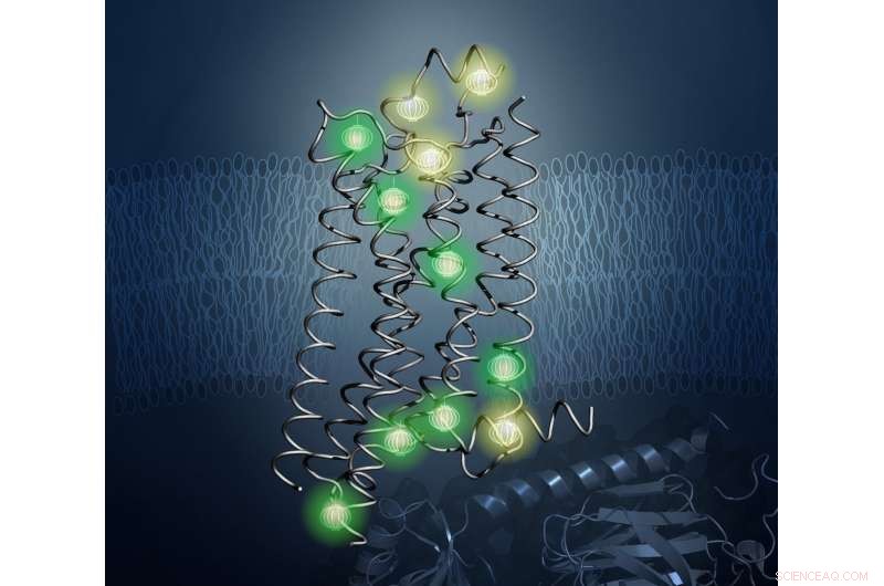 New Protein Structure Offers Insights for Improved Drug Design