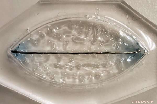 New Gel-Forming Technique Mimics Living Tissue Growth, Paving the Way for Bioengineering Breakthroughs