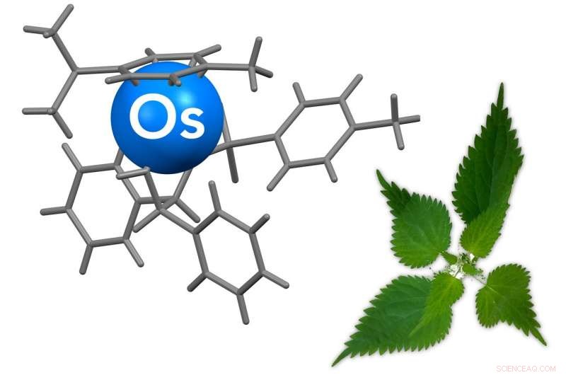 Reusable Stinging Nettle Therapy Targets Cancer Cells with Precision