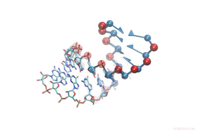 Revealing RNA Structure: A New Predictive Simulation Model