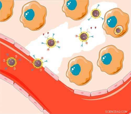 Overcoming Tumor Barriers: Powerful Drug Delivery Particles in Cancer Therapy