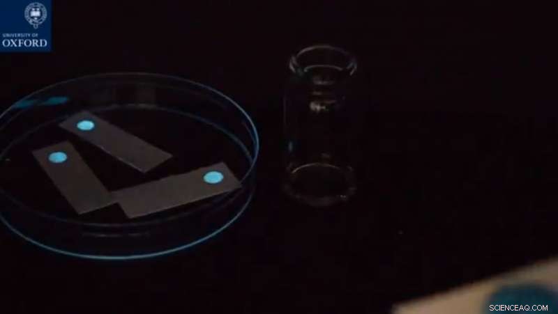 Revolutionary Smart Sensor Promises Breakthrough in Crime & Terrorism Prevention