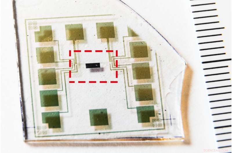 Groundbreaking Development: World s First Complementary Electrochemical Logic Circuits