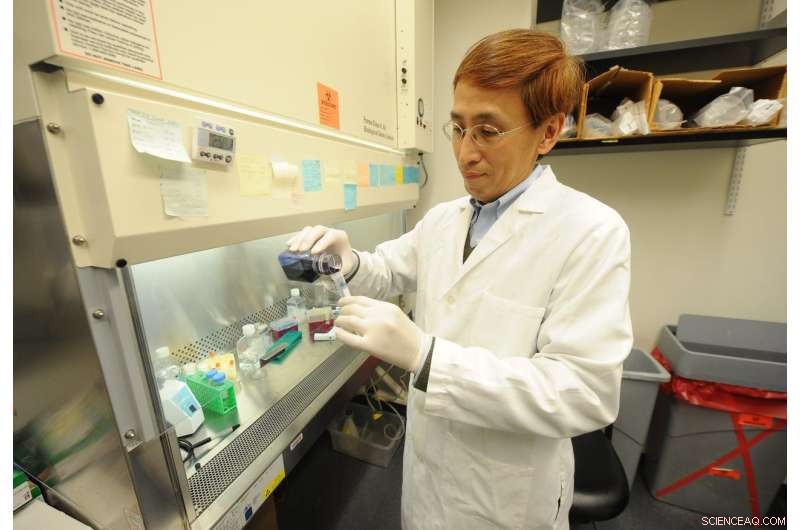 Tracking Protein Clearance Paves Way for Advanced Therapeutic Strategies