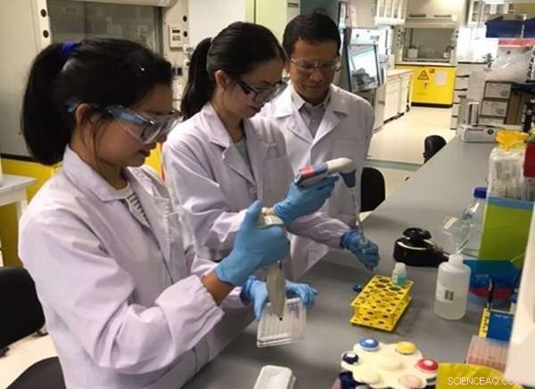 How Minor Chemical Alterations Influence Drug Toxicity