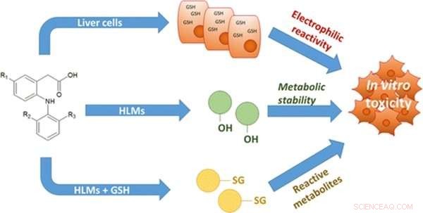 How Minor Chemical Alterations Influence Drug Toxicity