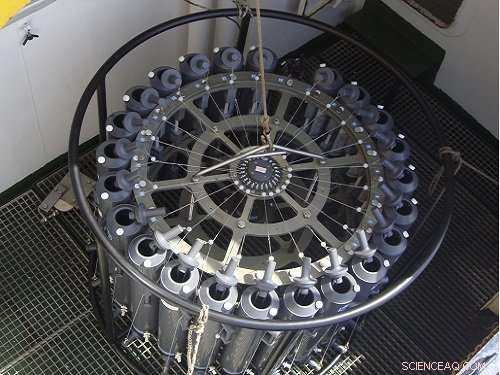 Enzyme Recreated from Deep Red Sea Brine Microbes Reveals Extremophile Secrets