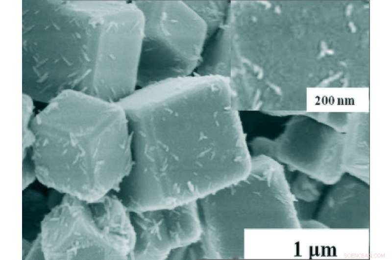 Groundbreaking Discovery: Excitons Identified in Nickel Oxide for the First Time