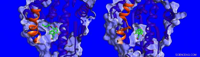 Multidisciplinary Study Unveils Mobility-Based Strategy for Targeted Cancer Drug Discovery