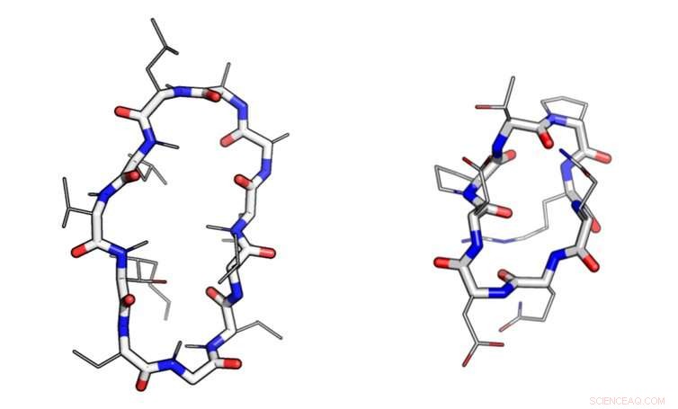 Robot Math & Smartphones Accelerate Breakthrough in Drug Discovery