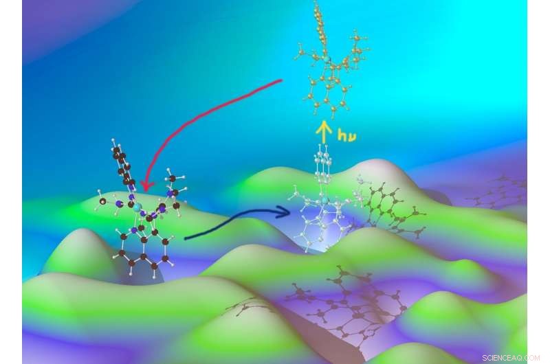 Researchers Unveil Key Principle Driving Metalloenzyme Reactions