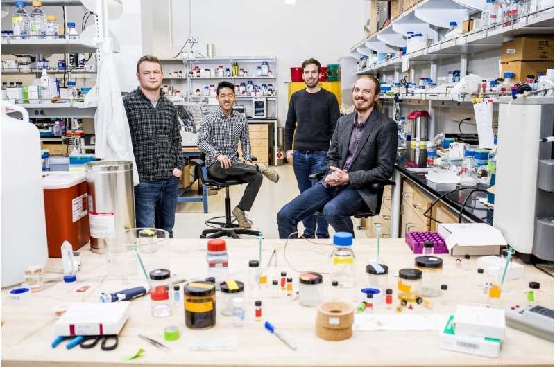 Scientists Design Biomaterial Logic Gates for Targeted Drug Release Triggered by Environmental Signals
