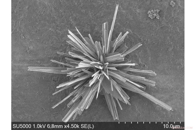 Revolutionary Copper Nanocatalyst Turns CO₂ into Ethylene, Opening Path to Eco‑Friendly Plastics