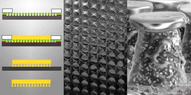 Biomimetic Soft Adhesive Electrode Inspired by Grasshoppers Enhances Health Monitoring