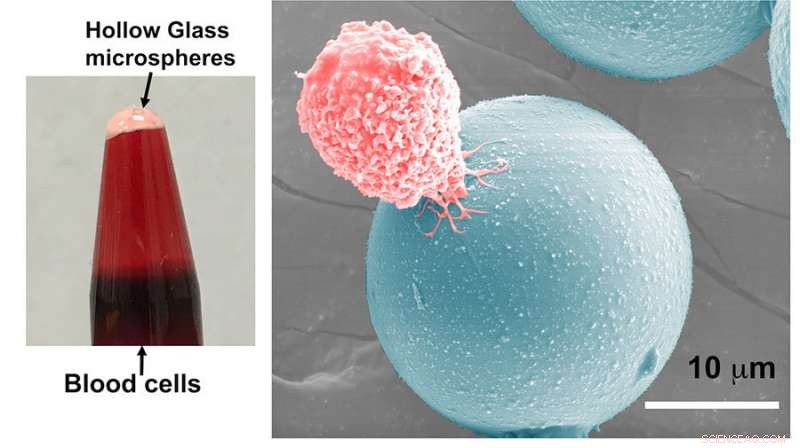 Isolating a Single Malignant Cell Amid Trillions of Healthy Cells