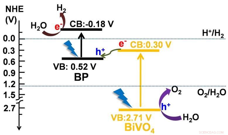 Harnessing Ultrathin Black Phosphorus for Efficient Solar-Driven Hydrogen Production