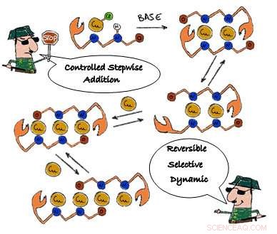 Precision Assembly of Molecular Wires, Atom by Atom