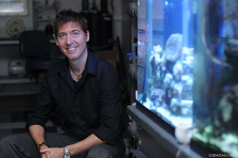 How the Mantis Shrimp’s Club Inspires Next-Gen Composite Materials for Aircraft and Helmets