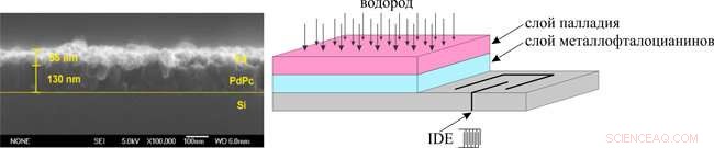 Chemists Boost Hydrogen Sensor Accuracy with Novel Palladium-Phthalocyanine Coatings