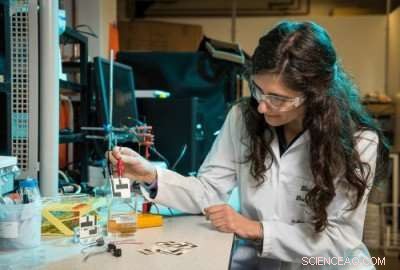 Microbial Paper Sensor: A Low-Cost, Sustainable Solution for Safer Water