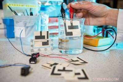 Microbial Paper Sensor: A Low-Cost, Sustainable Solution for Safer Water