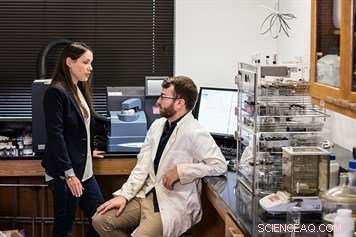 Texas A&M Scientists Achieve Breakthrough in Controlling Chameleon‑Like Material for Next‑Gen Computers