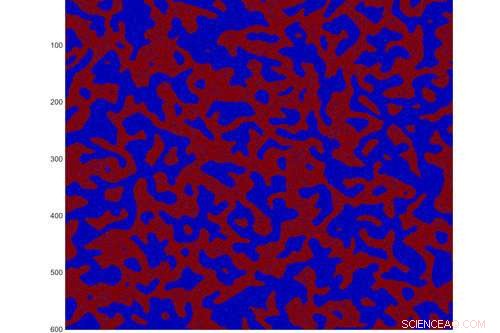 The Early Bits of Life: How Random Interactions Drive Complexity