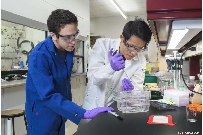 Revolutionizing HIV Detection: A More Accurate and Accessible Test