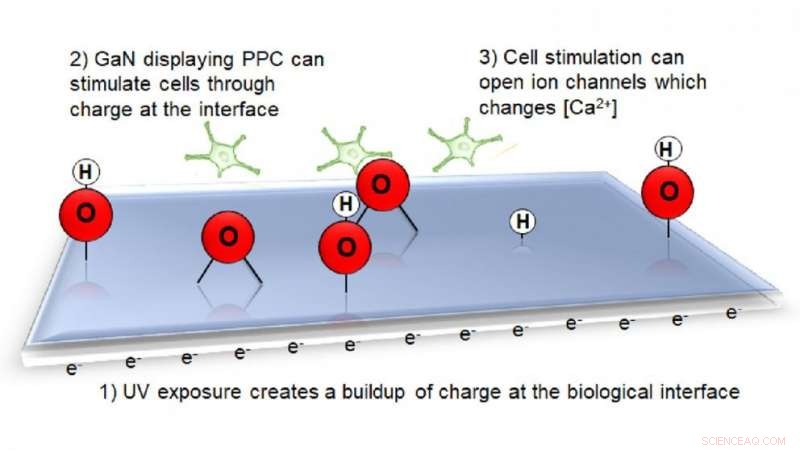 Leveraging Persistent Photoconductivity to Stimulate Neurotypic Cells