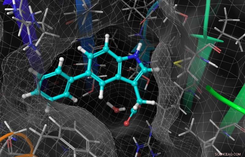 Synthetic Hormone Reveals Plants  Hidden Lives
