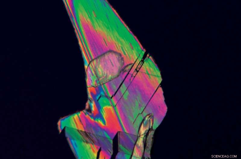 Renewable Bio‑Process Paves Way for Eco‑Friendly Plastics