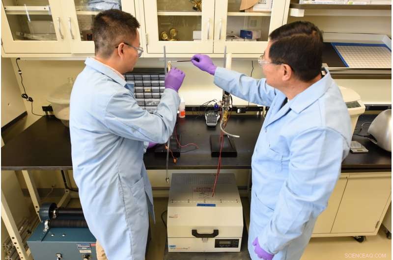 Solid‑Carbon Fuel Cells: A Breakthrough for Clean Energy