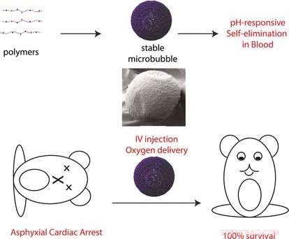 Stable, Self-Disrupting Microbubbles: A Novel Intravenous Oxygen Carrier for Rapid Hypoxia Treatment