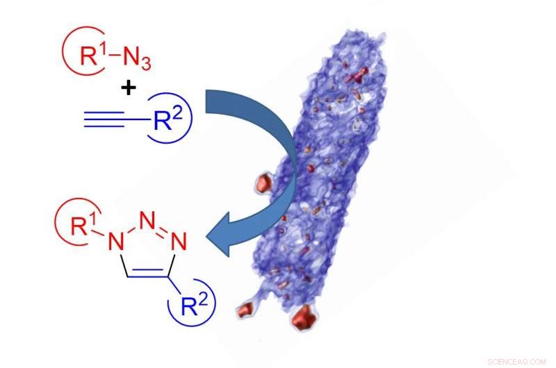 Sustainable Copper Catalysts: Metal‑Reducing Bacteria Offer an Eco‑Friendly Path