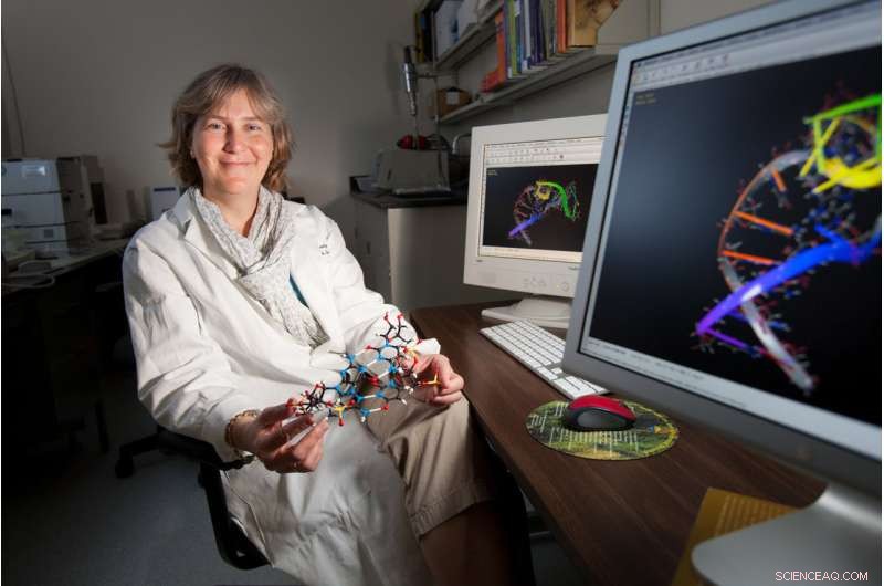 Revolutionizing Drug Discovery: RNA Takes Center Stage