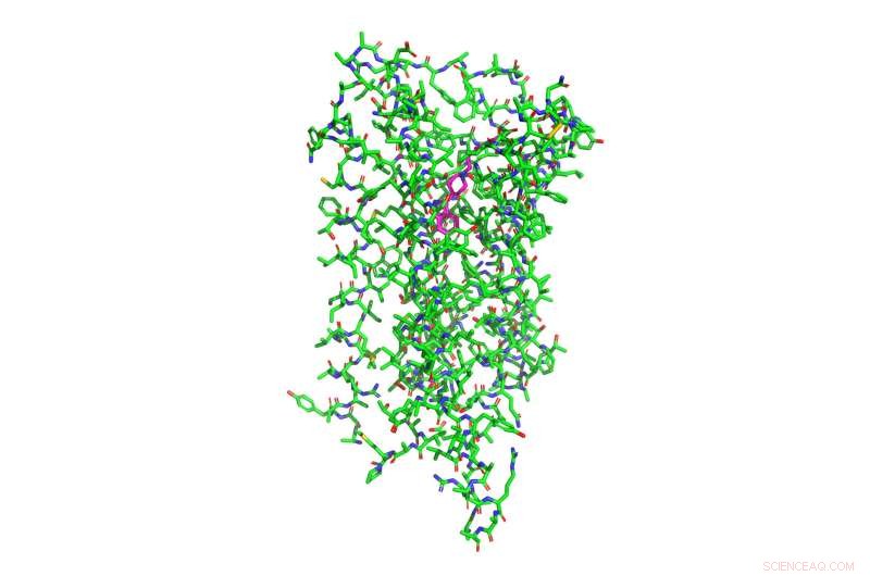 Groundbreaking Study Unveils First Crystal Structure of Dopamine D2 Receptor with Antipsychotic Risperidone