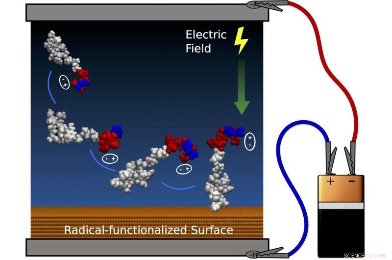 Enhancing Implantable Medical Devices with Advanced Surface Modification Technologies